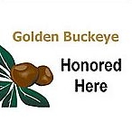 golden-buckeye-