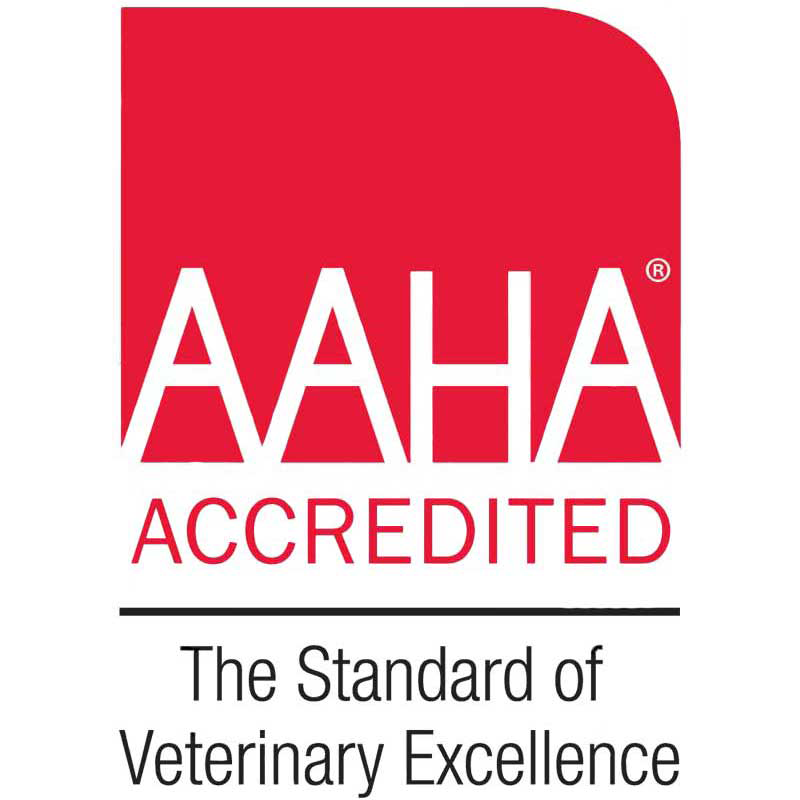 AAHA Logo